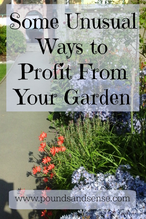 Some Unusual ways to Profit from Your Garden