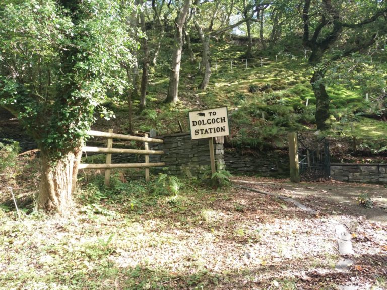 Dolgoch