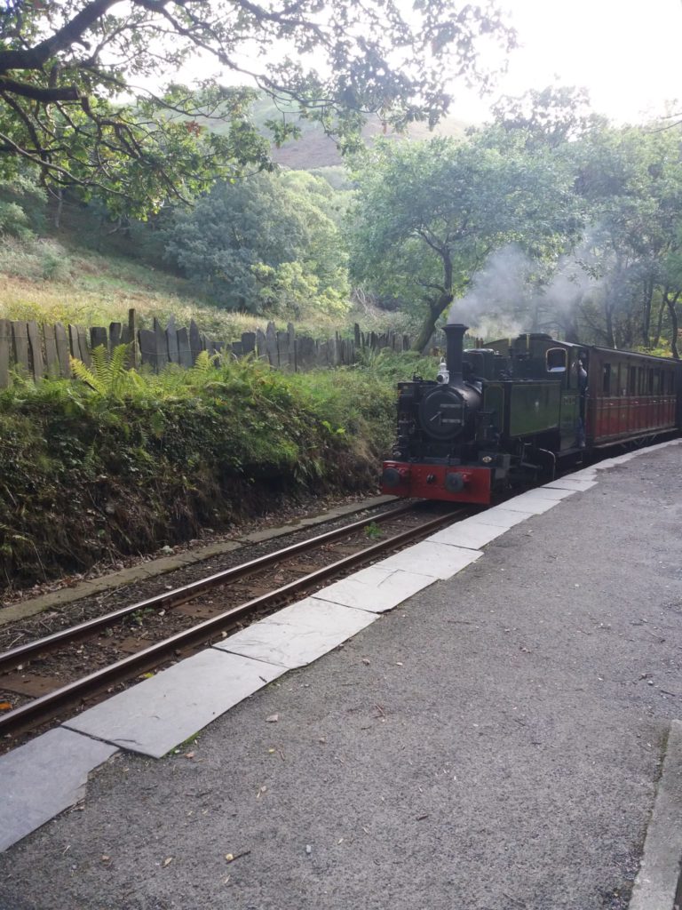 Train arriving at Dolgoch Station