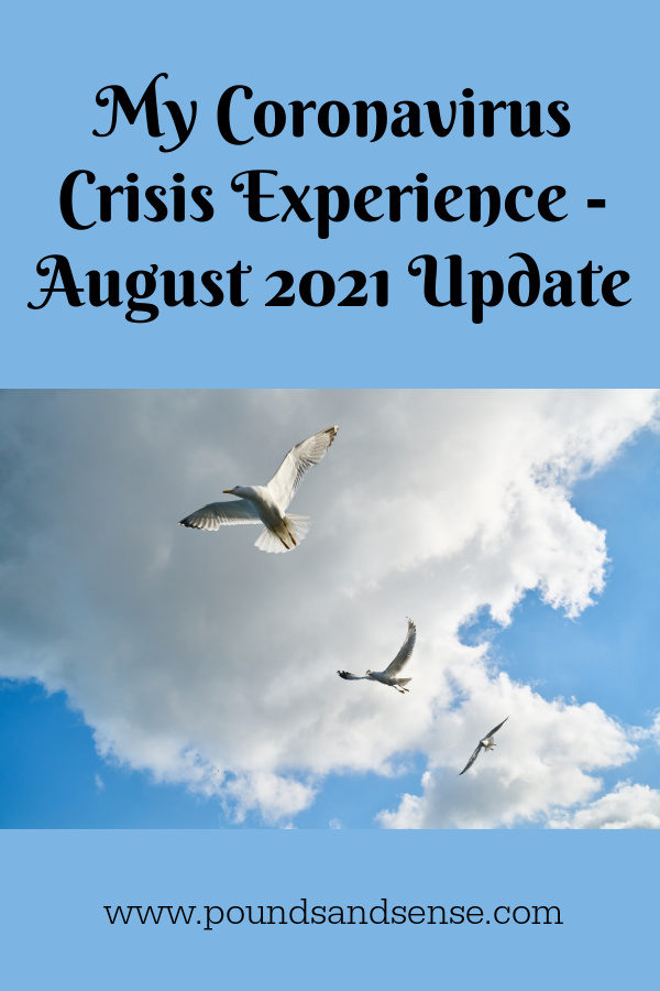 My Coronavirus Crisis Experience - August 2021 Update