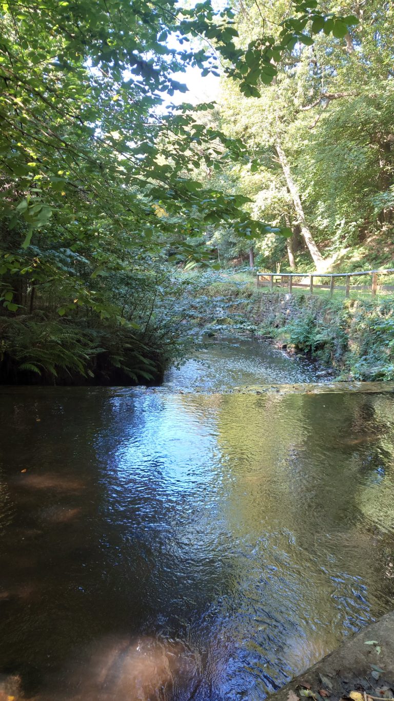 Hewenden Mill