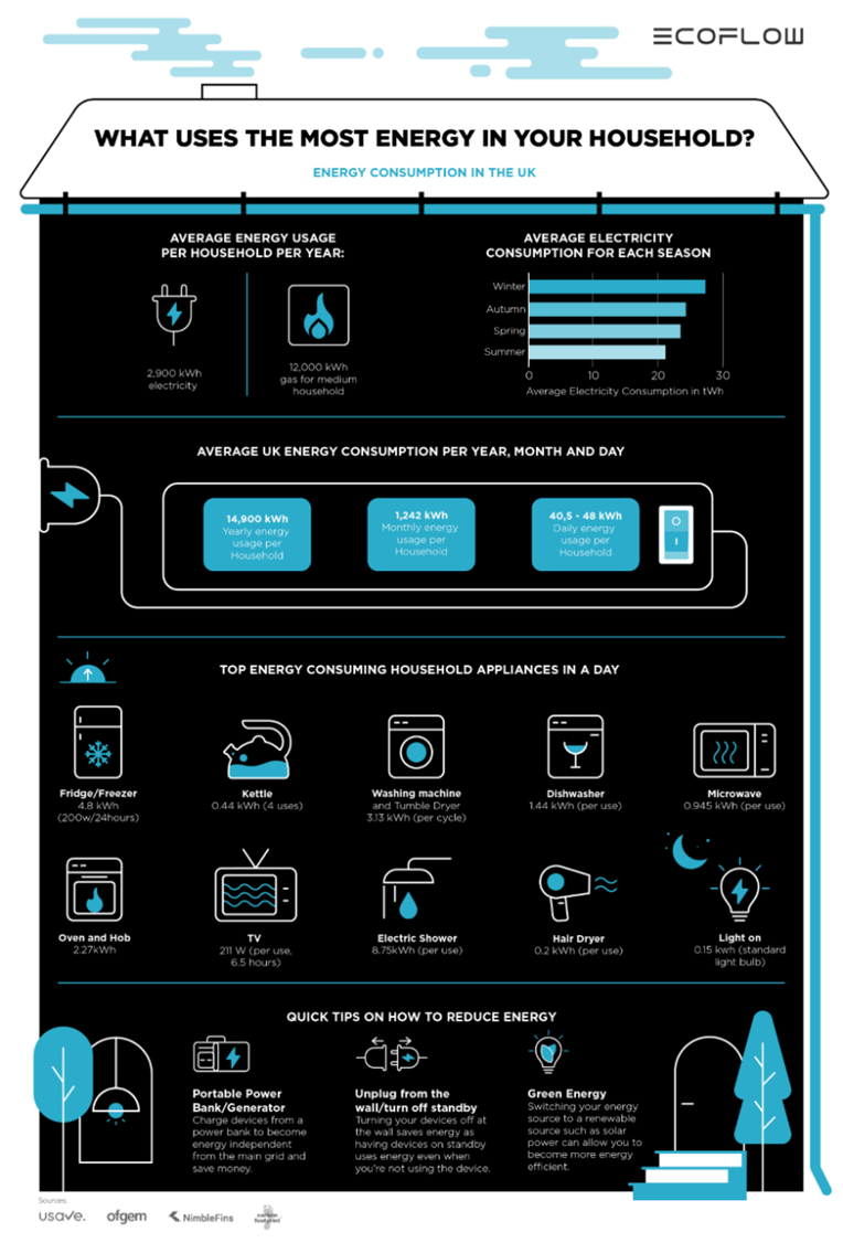 Ecoflow energy infographic