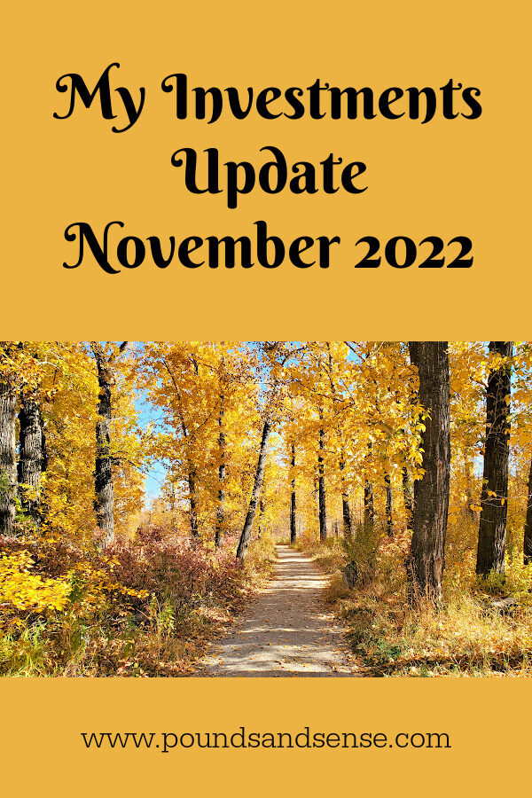 My Investments Update Nov 22