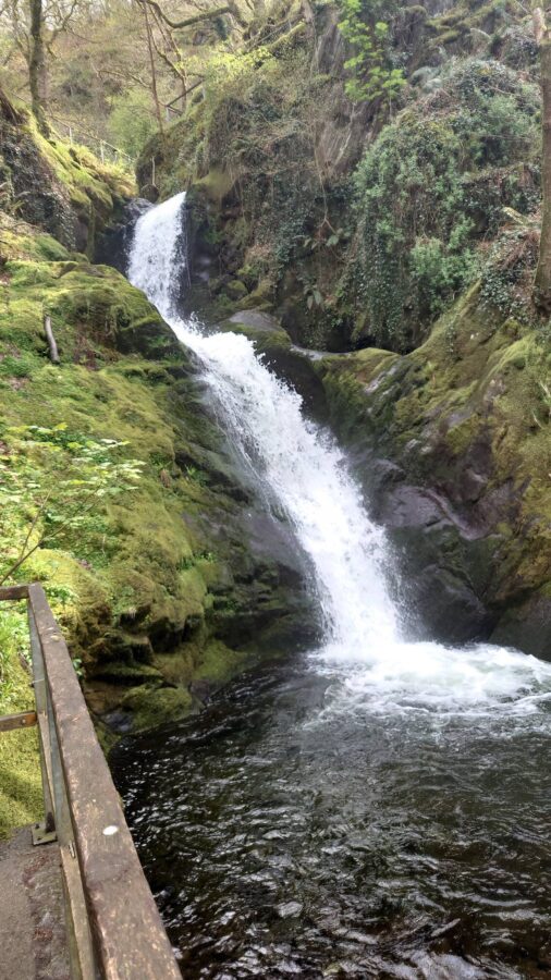 Dolgoch